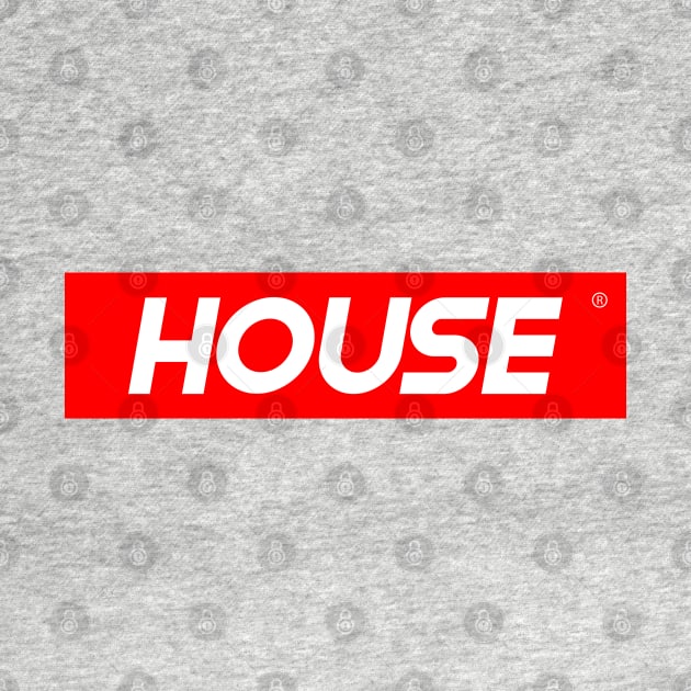 HOUSE MUSIC - Collector from the 90s by BACK TO THE 90´S